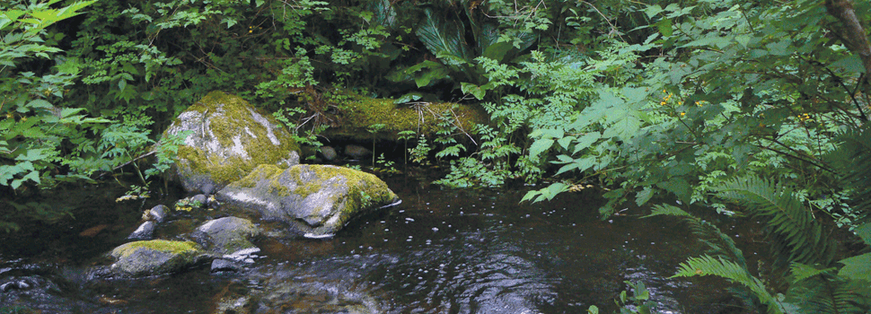 BloomfieldsCreek-LTABC-web