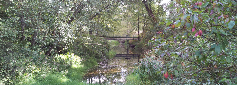 Bertrand-Creek-in-Otter-Park-Langley2-2012-09-10-web