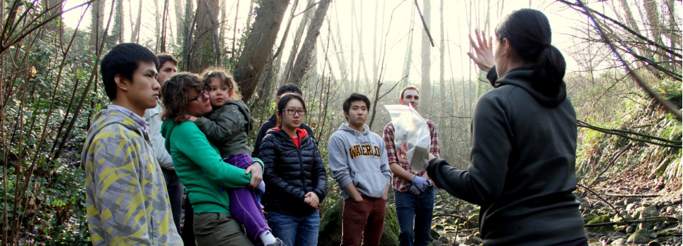 Evergreen-Uncover-Your-Creeks-web