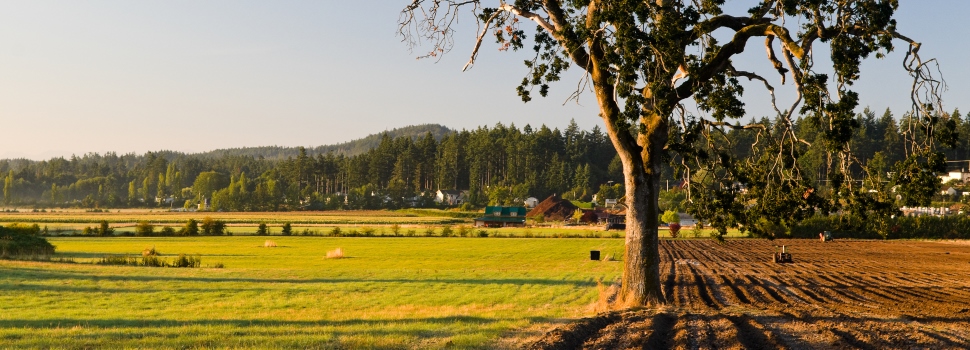 central sanich farmland_970x350