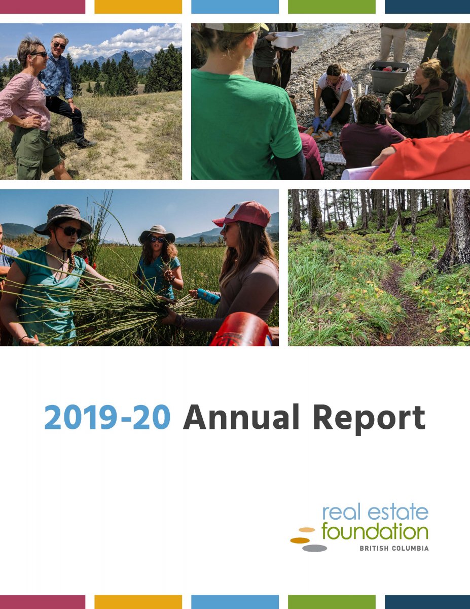 2019-20 annual report