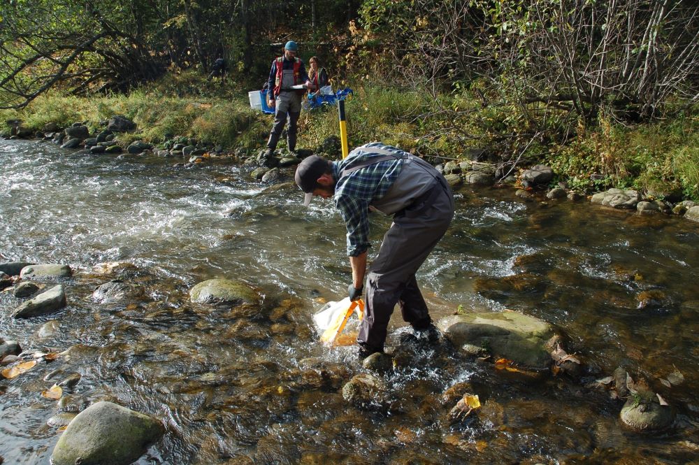 Lizard Creek - Elk River Alliance WEB