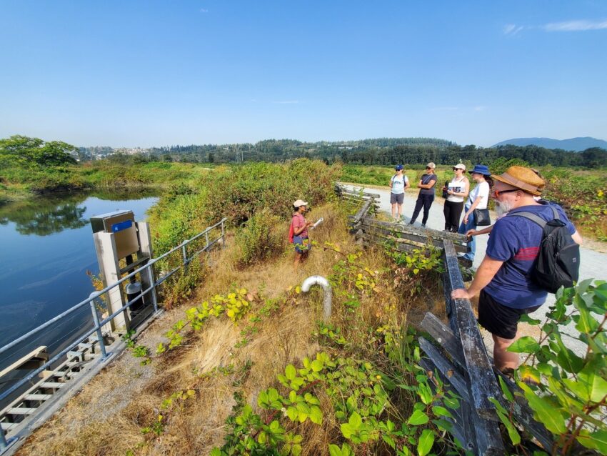Watershed Watch Salmon Society
